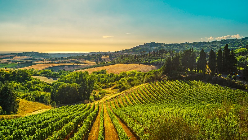 Toscana med Cinque Terre och Pisa